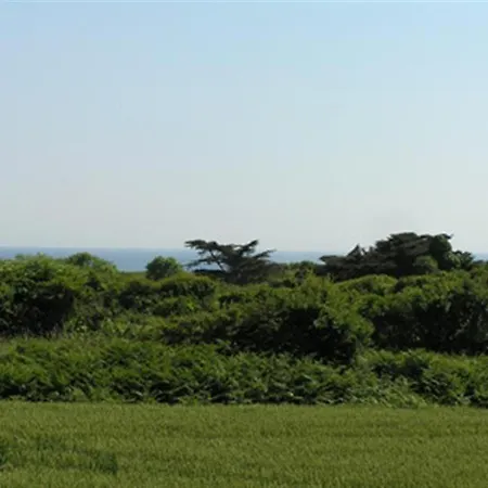 Kervrant - Maison Bretonne, Bord - Ad6008 Σπίτι διακοπών Primelin